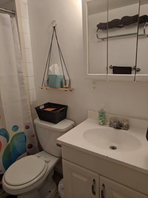 Cozy And Private Basement Holiday home *